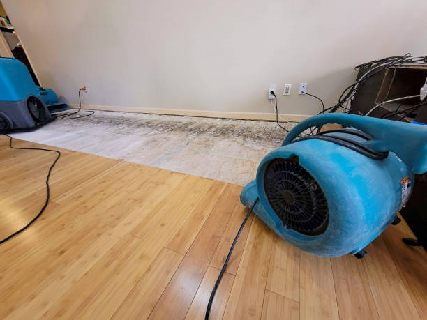 Professional Water Damage Repair technician working in Ocheyedan, IA